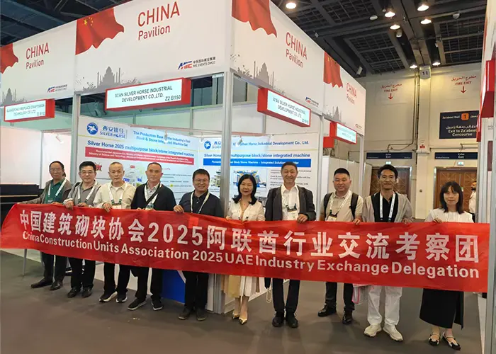 Equipe de inspeção e intercâmbio da indústria dos Emirados Árabes Unidos da China Construction Brick Association 2025